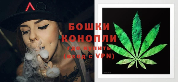 дмт Семилуки
