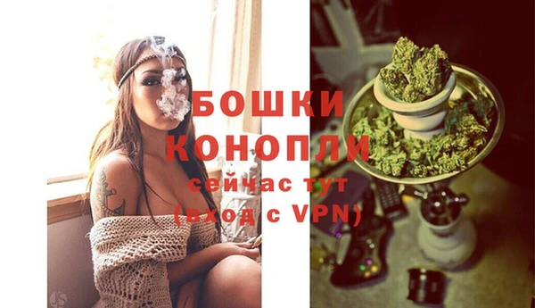 дмт Семилуки