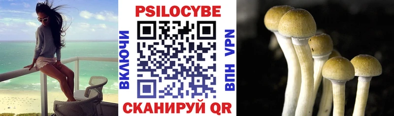 Псилоцибиновые грибы мицелий  OMG как зайти  Томари  что такое наркотик 